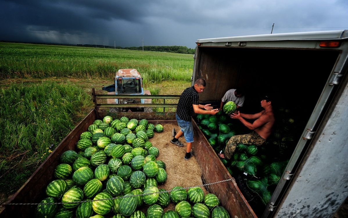 Watermelons